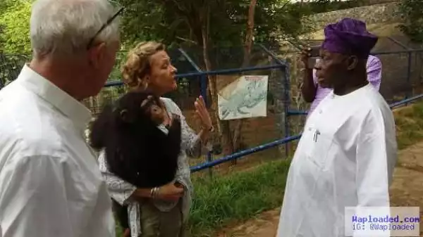 Obasanjo donates a chimpanzee named 